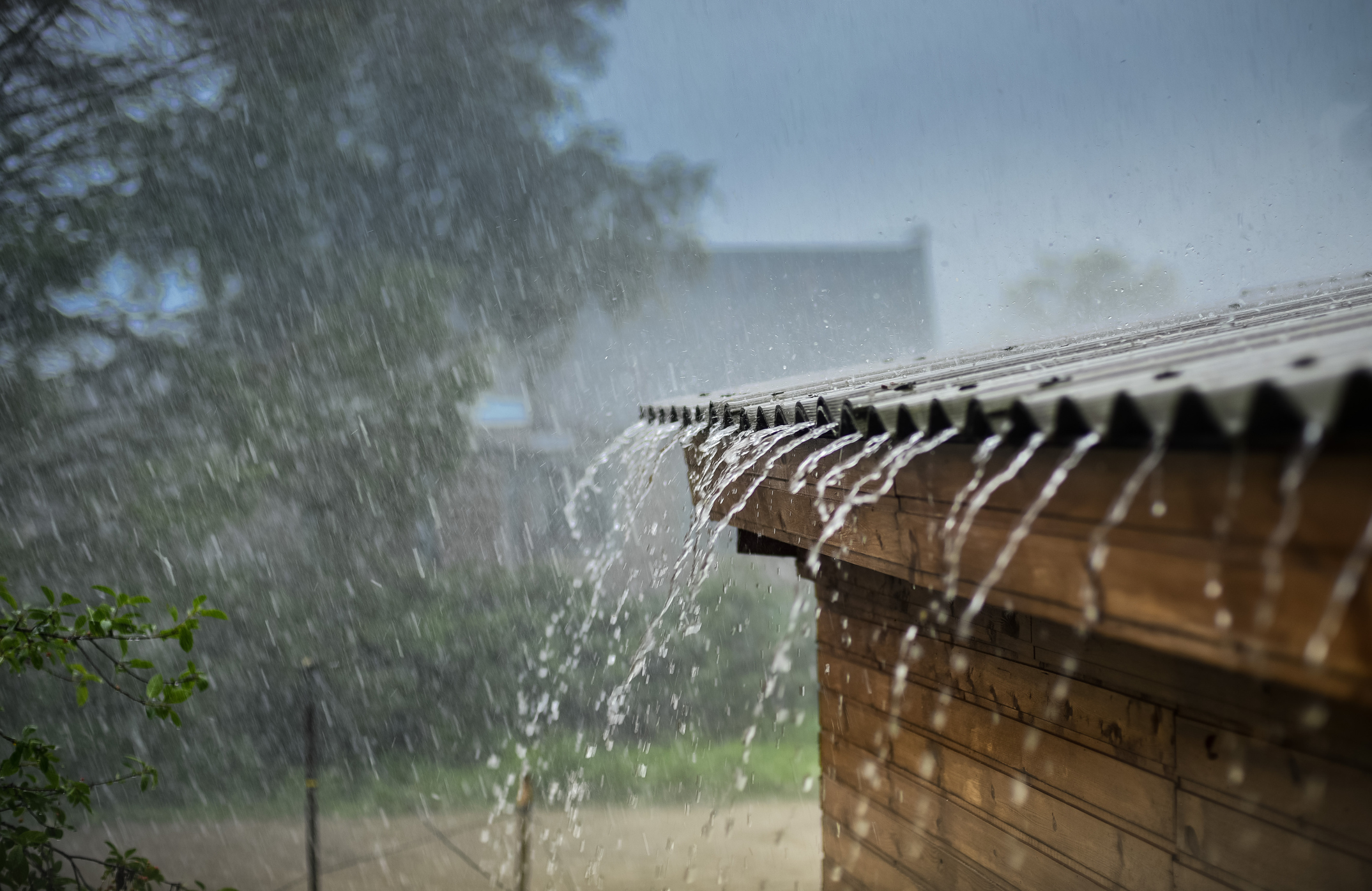 5 Roof Maintenance Tips for the Florida Rainy Season