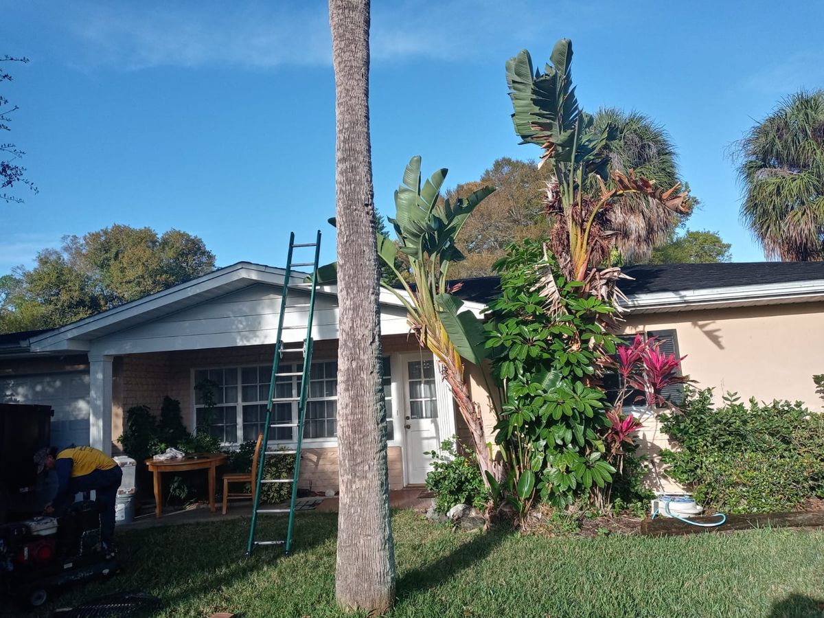 Tampa Roof Replacement on S Occident St